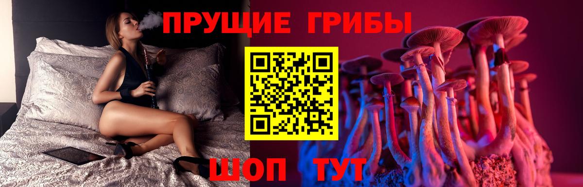 Хабаровск  Псилоцибиновые грибы Cubensis  Вход с VPN 
